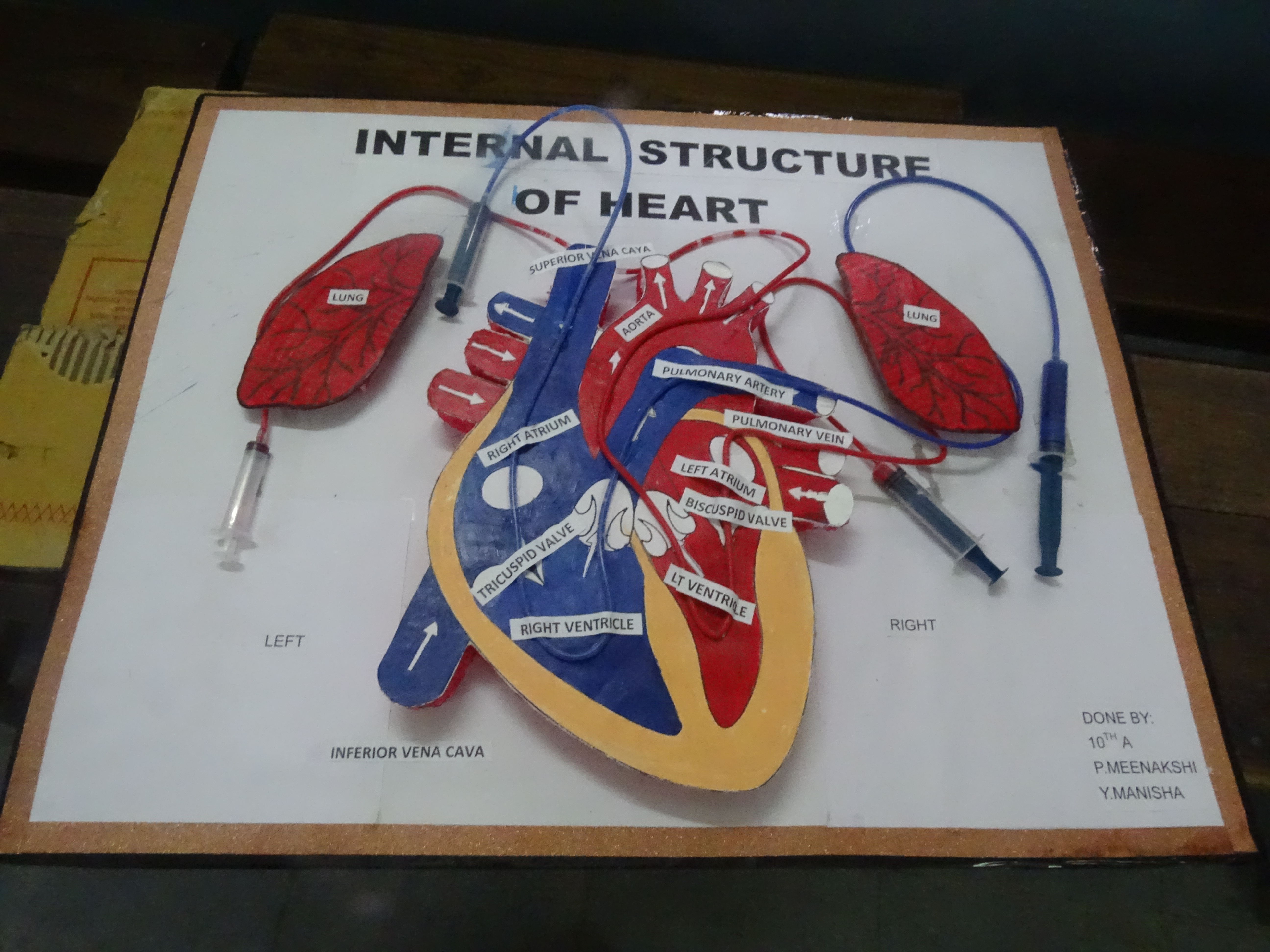 Science Exhibition Photo 47